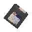 Disk